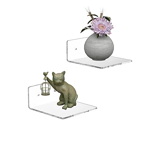 6 Inches Acrylic Small Wall Shelves 2 Pack, Floating Shelf for Wall Mounting, Acrylic Display Ledges for Funko Pop Figures, Home Décor, Living Room, Gaming Room, Plants(6 inch, Clear)