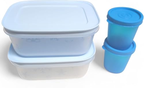 Signoraware Freezer Containers 450 ml Ice Crystal Storage Modular Fridge System 0.45 Litres Light Blue Transparent Set of 2 XXL + Gift 2 Gnome 60 ml