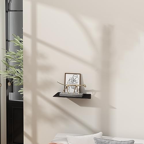 8 inch Small Floating Shelf for Wall Organizer & Storage, Mini Display Shelf, Metal Wall Shelf for Bathroom, Living Room, Kitchen, Bedroom(Matte Black) - view 2