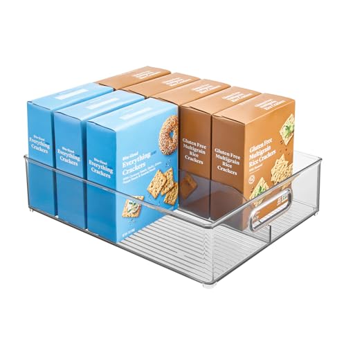 Divided Pantry Bin with Handle, Clear