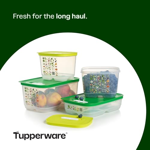 Fridgesmart 4 Piece Food Storage Container Set, Dishwasher Safe and BPA Free (4 Containers, 4 Lids) - view 5