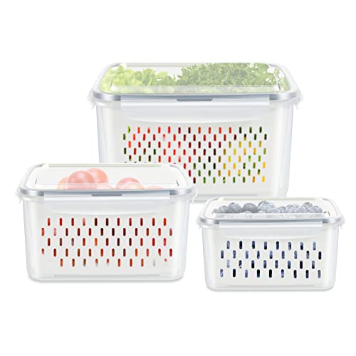 3 Pack Fruit Storage Containers for Fridge Berry Saver Lettuce Keeper