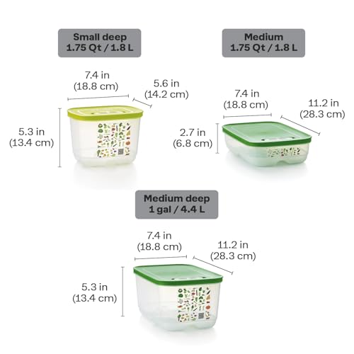 Fridgesmart 4 Piece Food Storage Container Set, Dishwasher Safe and BPA Free (4 Containers, 4 Lids) - view 3
