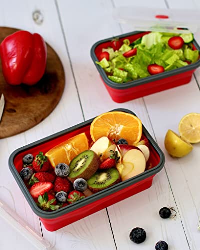 Set of 4 Collapsible Foldable Silicone Food Storage Container With BPA Free, Leftover Meal Box With Airtight Plastic Lids For Kitchen (Red) - view 5