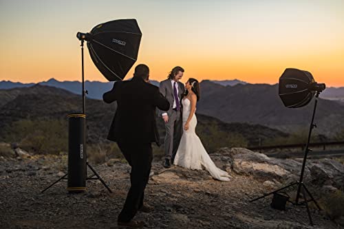 MagBox Pro 42 Octa Starter Kit Bundle, with MagBox Pro 42 Octa Softbox, MagShoe 2, MagRing 2 and MagGrip 2, Complete 4 Pc. Softbox Lighting System - view 3