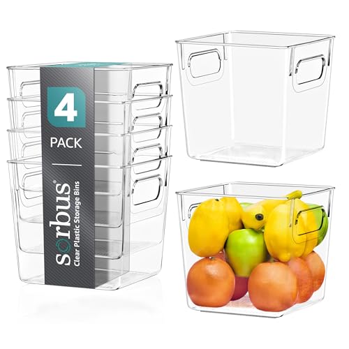 Fridge Organizers and Storage, Clear Plastic Bins (Small, 4 Pack)
