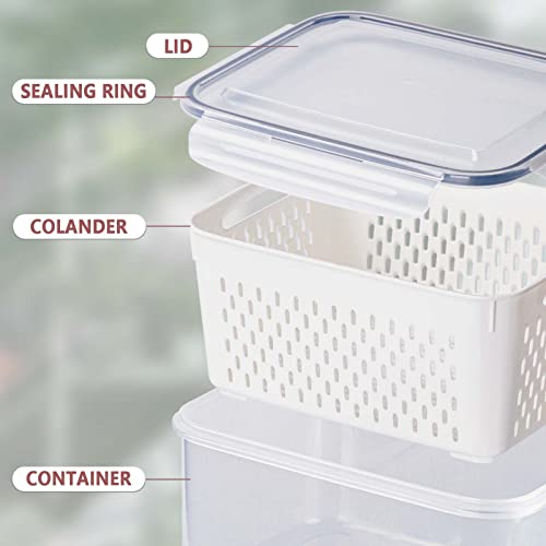 4 Pack Fresh Food Storage Containers, Fruit Organizer for Refrigerator - view 3