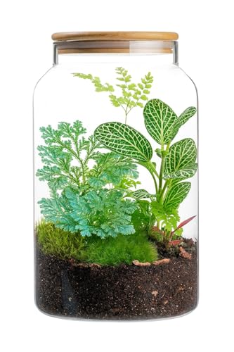1 Gallon Glass Large Jar with Airtight Bamboo Lid - Strong Clear Borosilicate Canister for Kitchen Food Storage Organizing, Terrarium, Pantry Decorative Container & Laundry Room - Pack of 1 - view 6