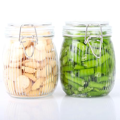 24 OZ Glass Jars With Clamp Lids Airtight Wide Mouth Storage Jars Sealed Canisters Food Containers For Kitchen Pantry Fruit Refrigerator Sugar Nuts Preserves Tea Coffee Beans 2 Set