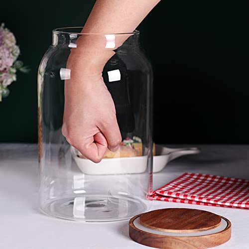 1 Gallon Glass Jar with Wooden Acacia Airtight Lid, Set of 2 - view 6