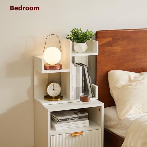 Small White Desk Organizer, 2 Tier Tree Cactus Bookshelf, Desktop Organizer Wood, Small Plant Shelf White YD-DSR002W - view 4