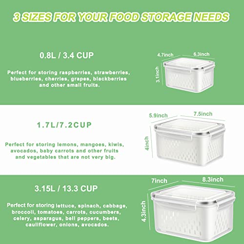 3 Pack Fruit Storage Containers for Fridge Berry Saver Lettuce Keeper - view 5