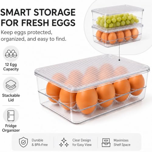 Egg Holder for Refrigerator with Lid, Holds 12 - view 2