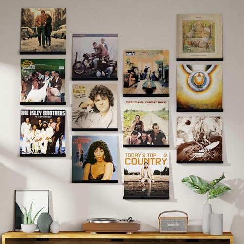 Vinyl Record Shelf Wall Mount, 12 Pack Album Record Holder Wall, 12 inch Vinyl Record Storage Shelves Wall, Wood Record Display for Living Room (Black) - view 2