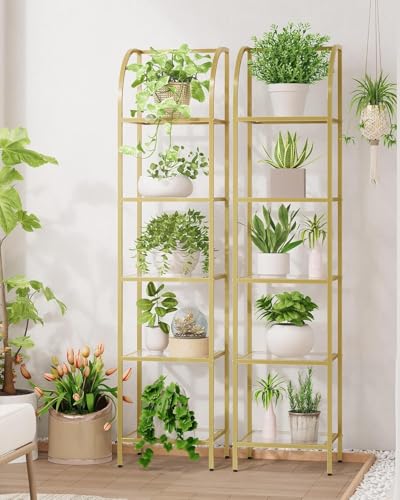 Bookcase Bookshelf, Tempered Glass Arched Bookshelf - view 6