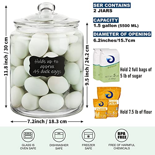 1.5 Gallon Glass Canisters with Airtight Lids, 2 Pack Flour & Cookie Jars - view 3