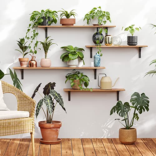 Long Wall Shelves, 31.5Inch Wooden Wall Mounted Shelves, Set of 2 - view 2