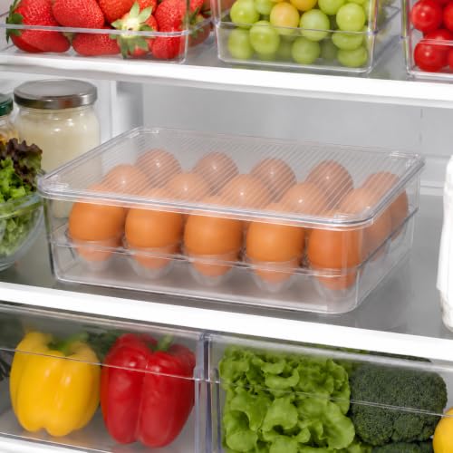 Egg Holder for Refrigerator with Lid, Holds 12 - view 6
