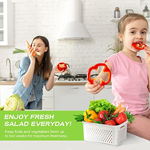 12 Pieces Fruit Storage Containers for Fridge Organizers and Storage, 6 Pack Large Produce Saver with Airtight Lid & Colander for Berry Lettuce Salad Vegetable Storage, Refrigerator Organizer - view 5
