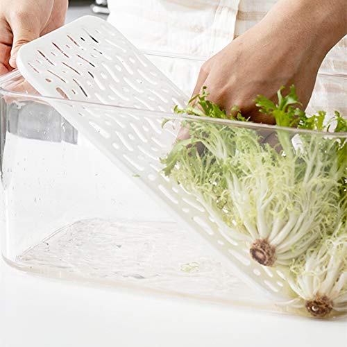 Vegetable Fruit Containers Fridge Containers,Freezer Produce Saver Refrigerator Organizer Bins with Vented Lids And Drain Tray For Pantry Fridge Freezer Cabinet Kitchen Organization - view 3
