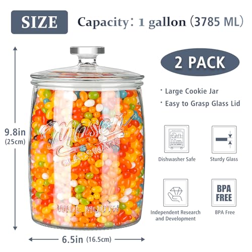 1 Gallon Glass Cookie Jar with Airtight Lid, 2 Pack - view 3