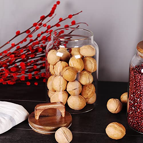 Canister Set of 2, Glass Kitchen Canisters - view 4