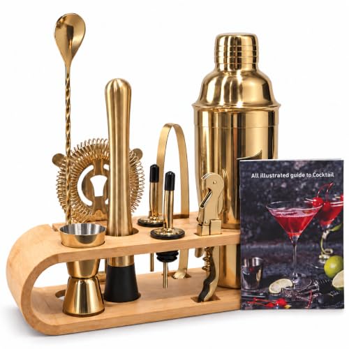 10-Piece Cocktail Shaker Set,24 oz 3-piece cocktail shaker,304(18/8)SS