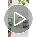 Produce Container, 3-Quart – Stay-Fresh Vent System for Small Peppers and Tomatoes, BPA-Free - view 2