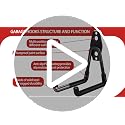 18 Pack Garage Hooks Heavy Duty - Anti-Slip Coating - view 7