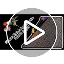 Grasscloth Peel & Stick Real Woven Striped Textured Wallpaper - view 7